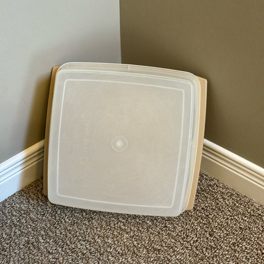 Tupperware Square Keeper Carrier